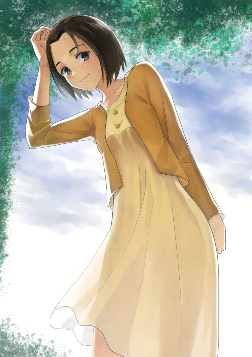 1girl, black_eyes, black_hair, blush, brown_hair, day, dress, hand_up