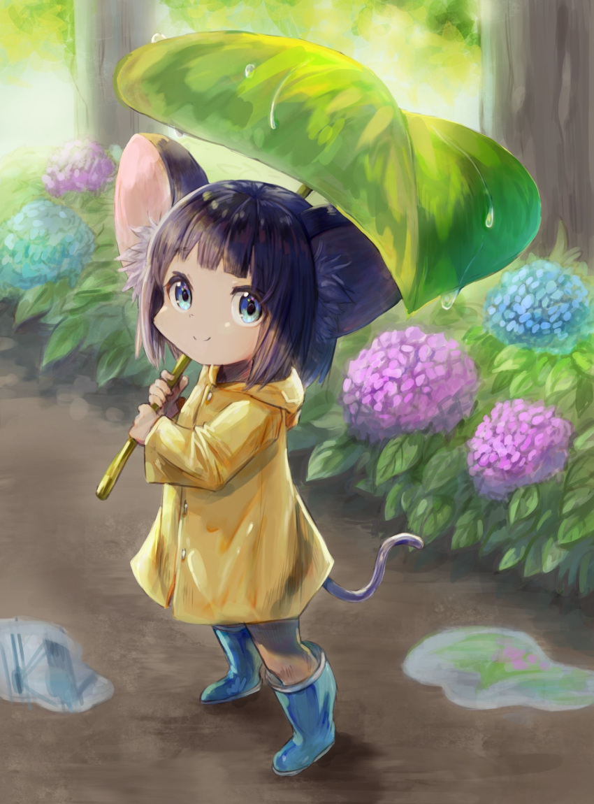 1girl, animal_ears, bangs, blue_eyes, boots, degi0833, flower, highres