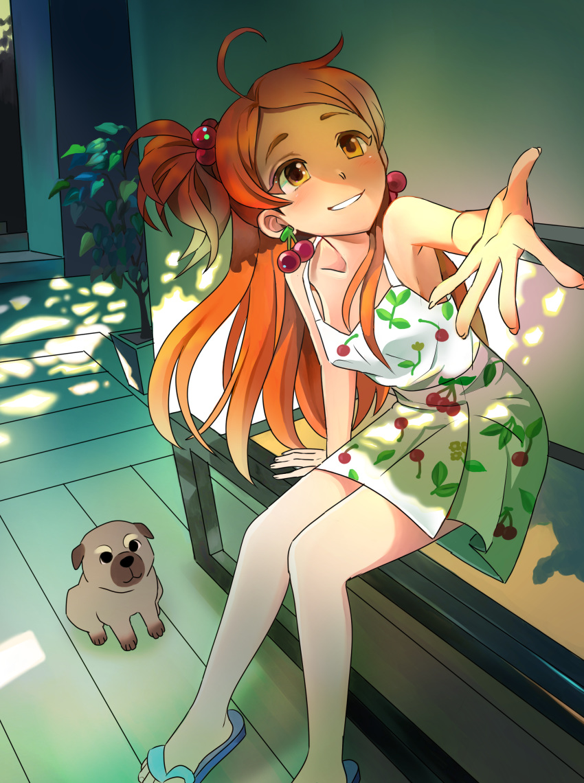 1girl, absurdres, ahoge, bench, brown_eyes, cherry_earrings, cherry_print, dappled_sunlight, dog, dress, earrings, food_print, food_themed_earrings, hair_bobbles, hair_ornament, highres, idolmaster, idolmaster_million_live!, idolmaster_million_live!_theater_days, jewelry, long_hair, looking_at_viewer, moomari, oogami_tamaki, outdoors, outstretched_hand, plant, potted_plant, sandals, side_ponytail, sitting, smile, solo, sunlight, white_dress