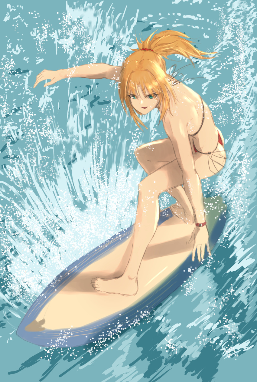 1girl, absurdres, bangs, bare_shoulders, bikini, braid, breasts, fate/grand_order