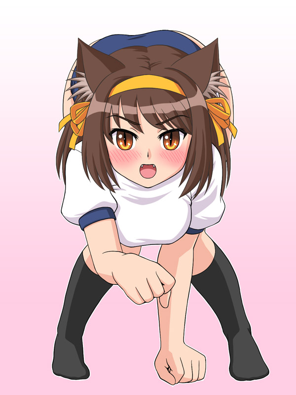cat_ears, cat_eyes, gym_uniform, mem, slit_pupils, suzumiya_haruhi, suzumiya_haruhi_no_yuuutsu