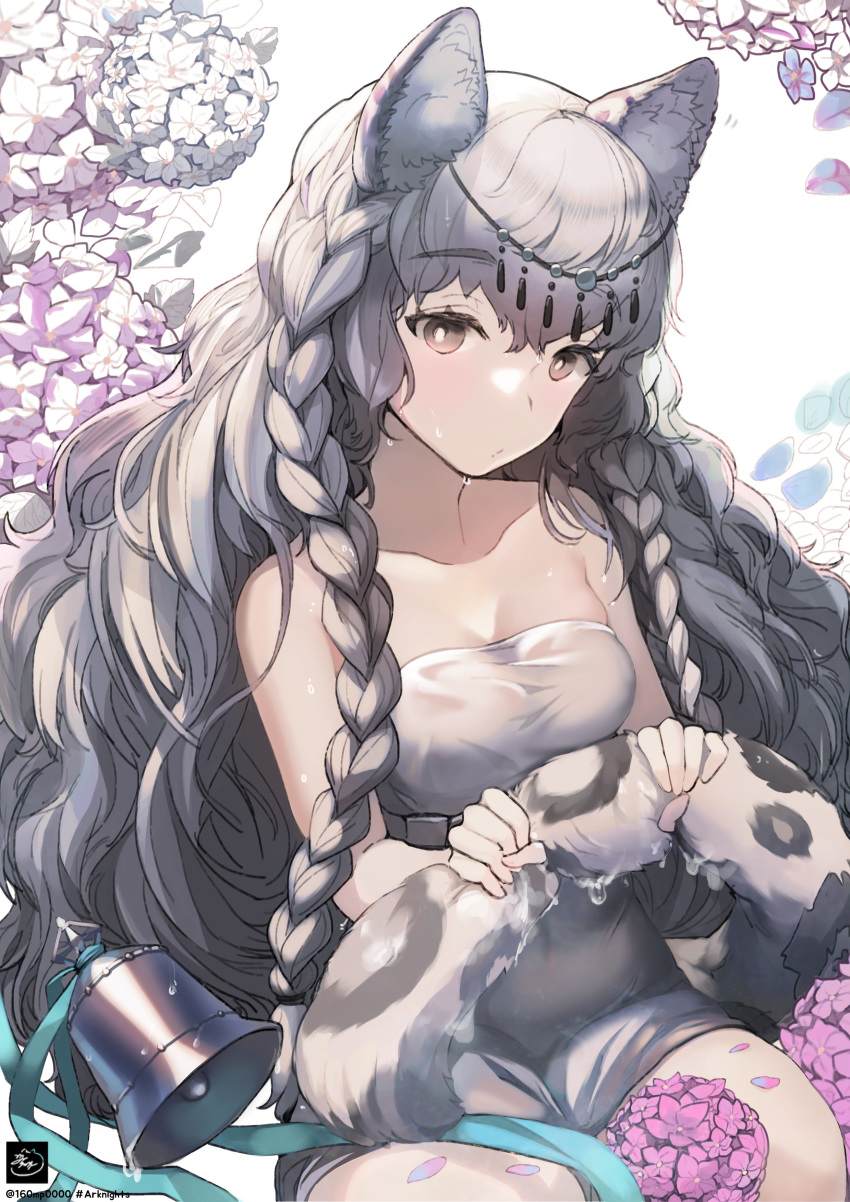 160mp, 1girl, absurdres, animal_ear_fluff, animal_ears, arknights, bangs, bare_shoulders