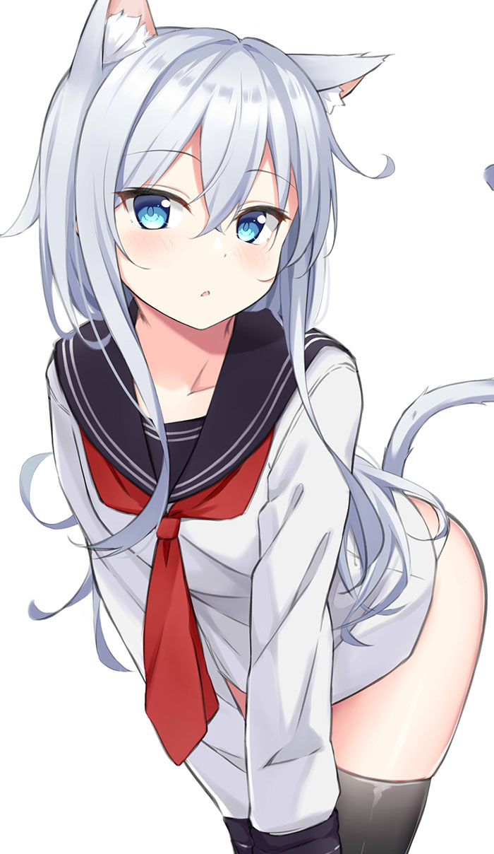 1girl, animal_ears, black_legwear, black_sailor_collar, blue_eyes, blush, cat_ears, cat_tail