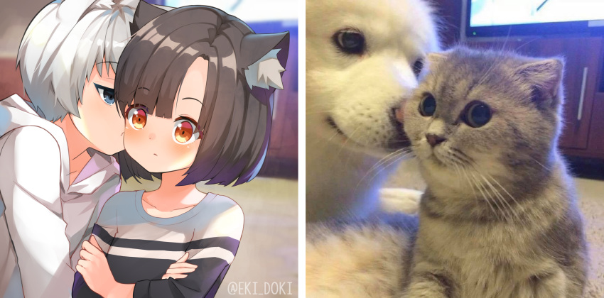 1boy, 1girl, animal_ears, artist_name, bangs, black_hair, black_shirt, blue_eyes