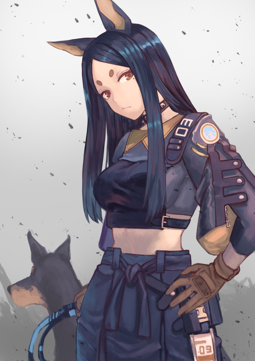 1girl, animal_ears, arknights, black_hair, black_shirt, breasts, collar, doberman, dobermann_(arknights), dog, dog_ears, dog_girl, gloves, highres, holding_whip, janoukyo19, long_hair, looking_at_viewer, midriff, shirt, solo, whip