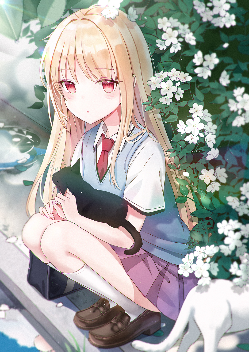 1girl, 2others, animal, ascii_media_works, bangs, black_cat, blonde_hair, blush, cat, collared_shirt, commentary_request, eyebrows_visible_through_hair, feline, flower, highres, hikari_(sakura-sou_no_pet_na_kanojo), holding, holding_cat, human, iren_lovel, j.c._staff, kneehighs, loafers, long_hair, looking_at_viewer, mammal, necktie, outdoors, pleated_skirt, rain, red_eyes, red_neckwear, sakura-sou_no_pet_na_kanojo, school_uniform, shiina_mashiro, shirt, shoes, skirt, solo, squatting, striped, white_cat, white_flower, white_legwear, white_shirt