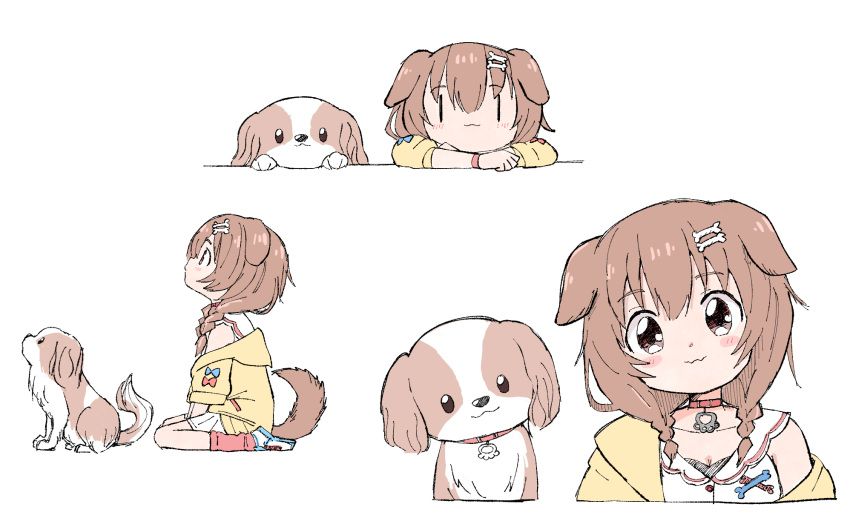 1girl, :3, animal_ears, baniraitachi, blush, bone_hair_ornament, braid, brown_eyes, brown_hair, collar, dog, dog_ears, dog_tail, head_tilt, highres, hololive, inugami_korone, long_hair, looking_at_viewer, looking_away, multiple_views, sitting, tail, twin_braids, virtual_youtuber, wariza, white_background, |_|