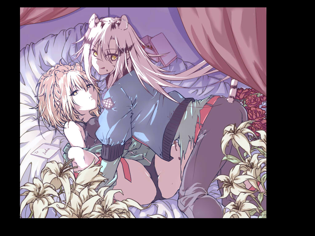 2girls, 60606, animal_ears, arknights, bangs, bed, brown_hair, flower, gift, indra_(arknights), jacket, letter, licking_lips, lion_ears, long_hair, multicolored_hair, multiple_girls, pants, rose, scar, shirt, siege_(arknights), silver_hair, spread_legs, tail, tiger_ears, tongue, tongue_out, yellow_eyes, yuri