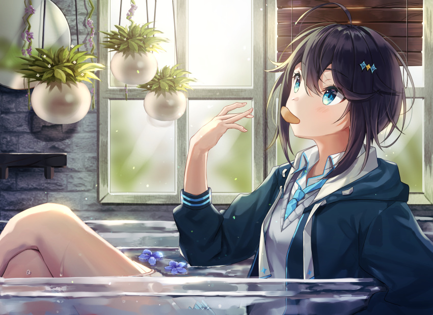 1girl, ahoge, aqua_eyes, bangs, black_hair, blinds, blue_jacket, brick_wall
