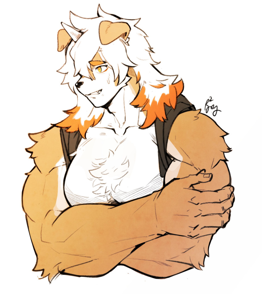 1boy, animal_ears, arknights, bangs, bara, chest, cropped_torso, dog_ears