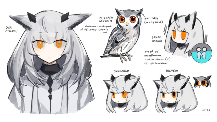 1girl, animal, animal_ears, arknights, artist_name, bangs, bird, dilated_pupils