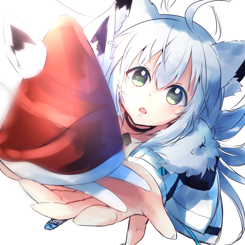 1girl, ahoge, animal_ears, black_choker, choker, commentary_request, dog_tags, dutch_angle