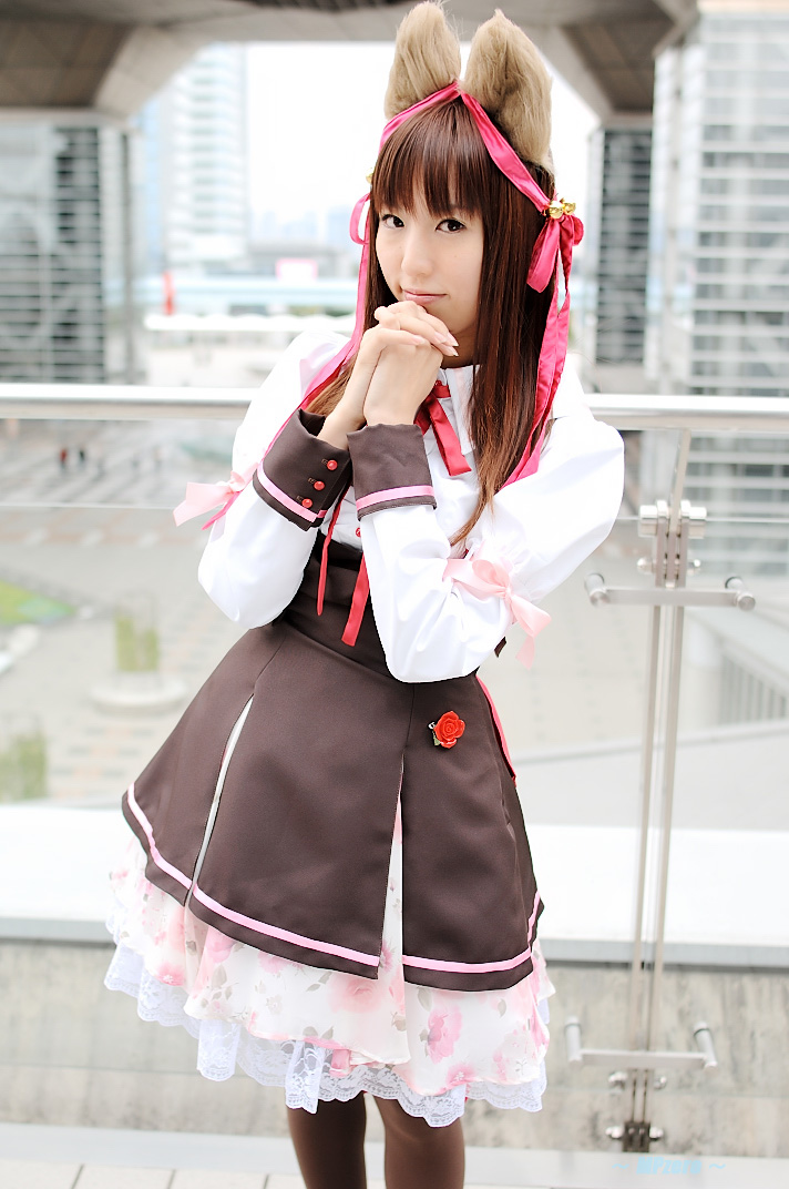 animal_ears, chihaya, cosplay, dog_ears, hair_ribbons, photo, school_uniform, tagme_character