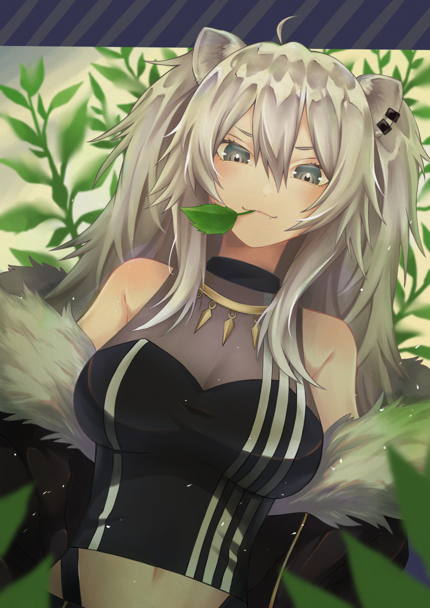 1girl, absurdres, ahoge, animal_ears, bare_shoulders, blush, breasts, earrings, fang, fang_out, fur-trimmed_jacket, fur_trim, gfpebs, grey_eyes, grey_hair, hair_between_eyes, highres, hololive, jacket, jewelry, large_breasts, leaf, lion_ears, lion_girl, long_hair, looking_at_viewer, midriff, mouth_hold, necklace, open_mouth, shirt, shishiro_botan, sleeveless, sleeveless_shirt, solo, virtual_youtuber