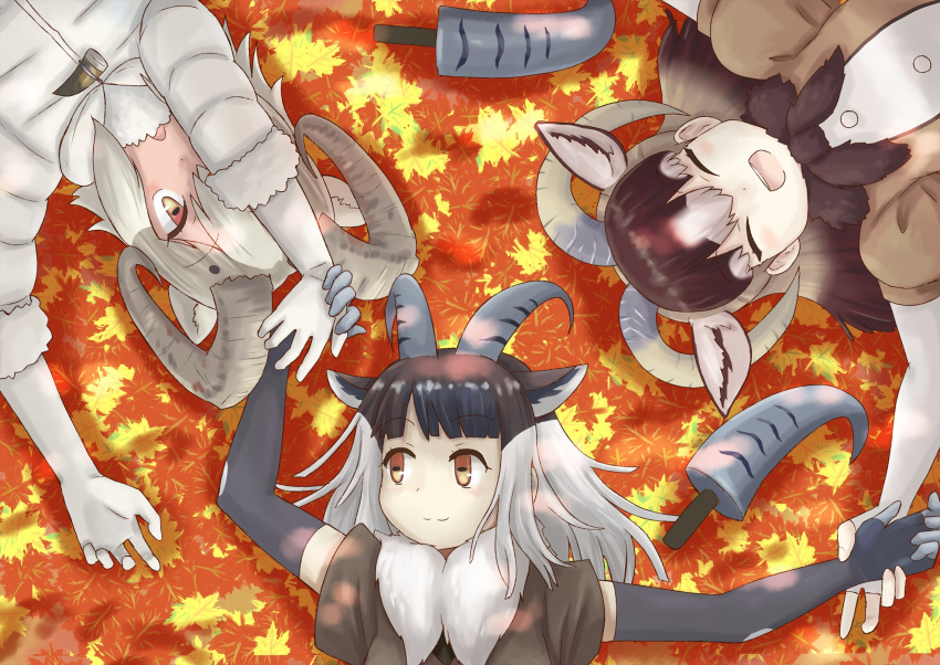 3girls, ^_^, animal_ears, autumn_leaves, bangs, black_hair, blunt_bangs, brown_hair