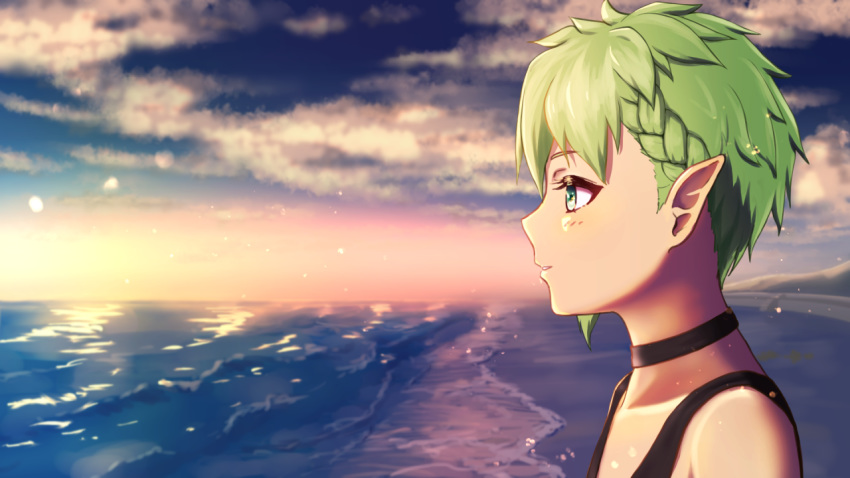1girl, beach, blue_eyes, choker, from_side, green_hair, kaniyamo, looking_ahead, macross, macross_delta, ocean, outdoors, parted_lips, pointy_ears, reina_prowler, short_hair, sleeveless, solo, waves