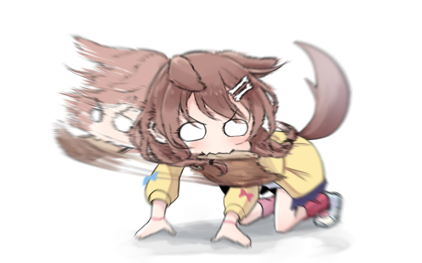 1girl, afterimage, all_fours, animal_ears, bag, biting, blank_eyes, blush, bone_hair_ornament, braid, brown_hair, chibi, commentary, dog_ears, dog_tail, dress, fang, full_body, hair_ornament, highres, hololive, inugami_korone, jacket, medium_hair, mimyung00, motion_blur, motion_lines, mouth_hold, open_clothes, open_jacket, paper_bag, red_footwear, shoes, side_braids, simple_background, skin_fang, socks, solo, tail, twin_braids, virtual_youtuber, white_background, white_dress, white_footwear, yellow_jacket