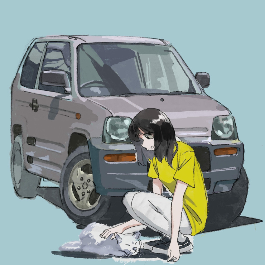 1girl, black_eyes, black_hair, car, cat, ground_vehicle, highres, kneeling, looking_down, medium_hair, motor_vehicle, open_mouth, original, pandagtapex, petting, solo, vehicle_focus