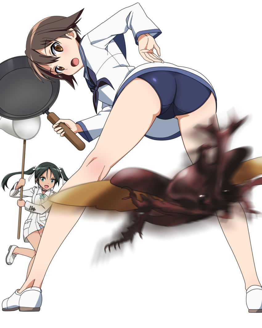 2girls, ass, beetle, blue_swimsuit, brown_eyes, brown_hair, bug, butterfly_net