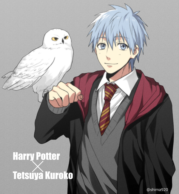 1boy, animal_on_arm, bird, bird_on_arm, black_cape, blue_eyes, blue_hair, cape