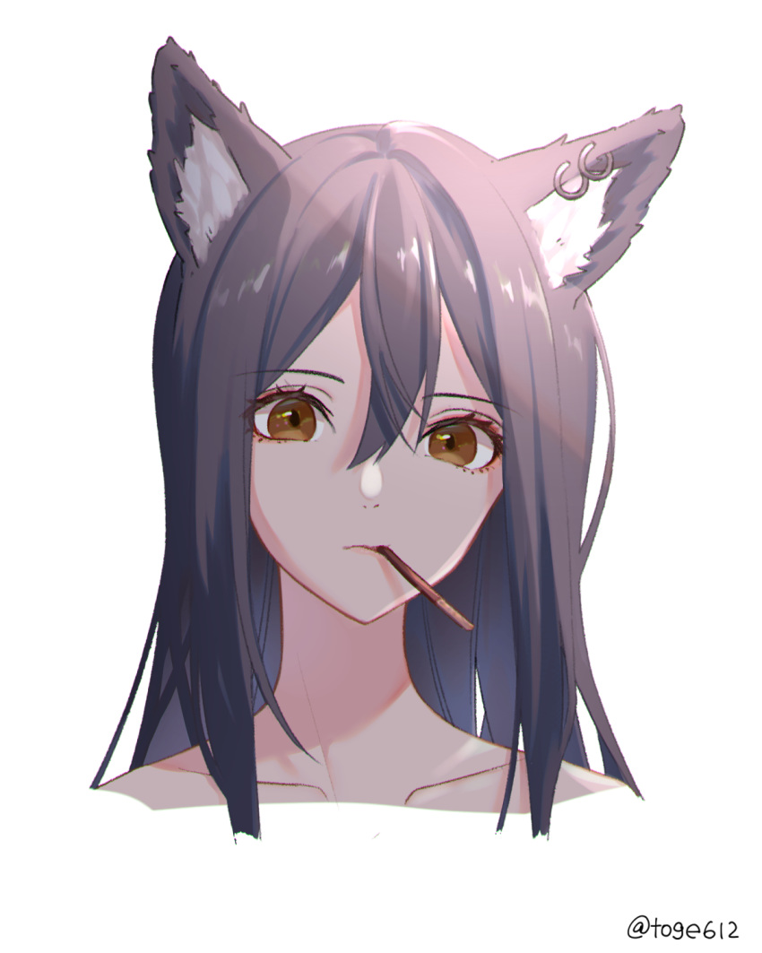 1girl, amopui, animal_ear_fluff, animal_ears, arknights, bangs, black_hair, brown_eyes, collarbone, commentary, eyebrows_visible_through_hair, food, food_in_mouth, hair_between_eyes, highres, long_hair, looking_at_viewer, mouth_hold, pocky, simple_background, solo, texas_(arknights), white_background, wolf_ears