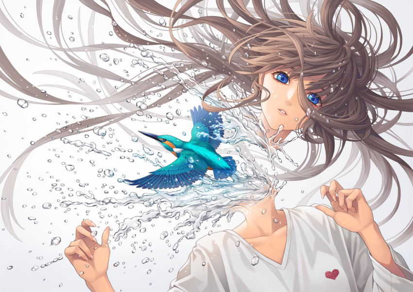 1girl, bangs, blue_eyes, brown_hair, common_kingfisher, disembodied_head, floating_hair, grey_background