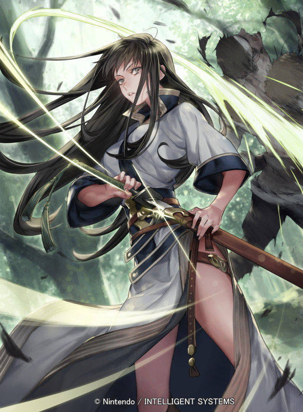 1boy, 1girl, black_hair, fire_emblem, fire_emblem:_the_blazing_blade, fire_emblem_cipher, forest, grey_eyes