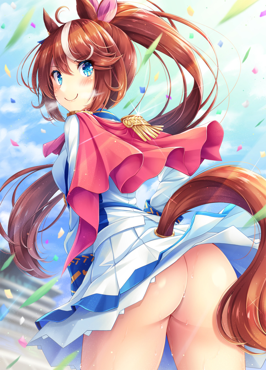 1girl, akashio_(loli_ace), animal_ears, ass, bangs, blue_eyes, blush, brown_hair, commentary_request, confetti, day, eyebrows_visible_through_hair, eyes_visible_through_hair, from_behind, hair_between_eyes, highres, horse_ears, horse_tail, long_hair, long_sleeves, looking_at_viewer, looking_back, no_panties, outdoors, ponytail, skirt, smile, solo, tail, tail_through_clothes, tokai_teio, umamusume, very_long_hair