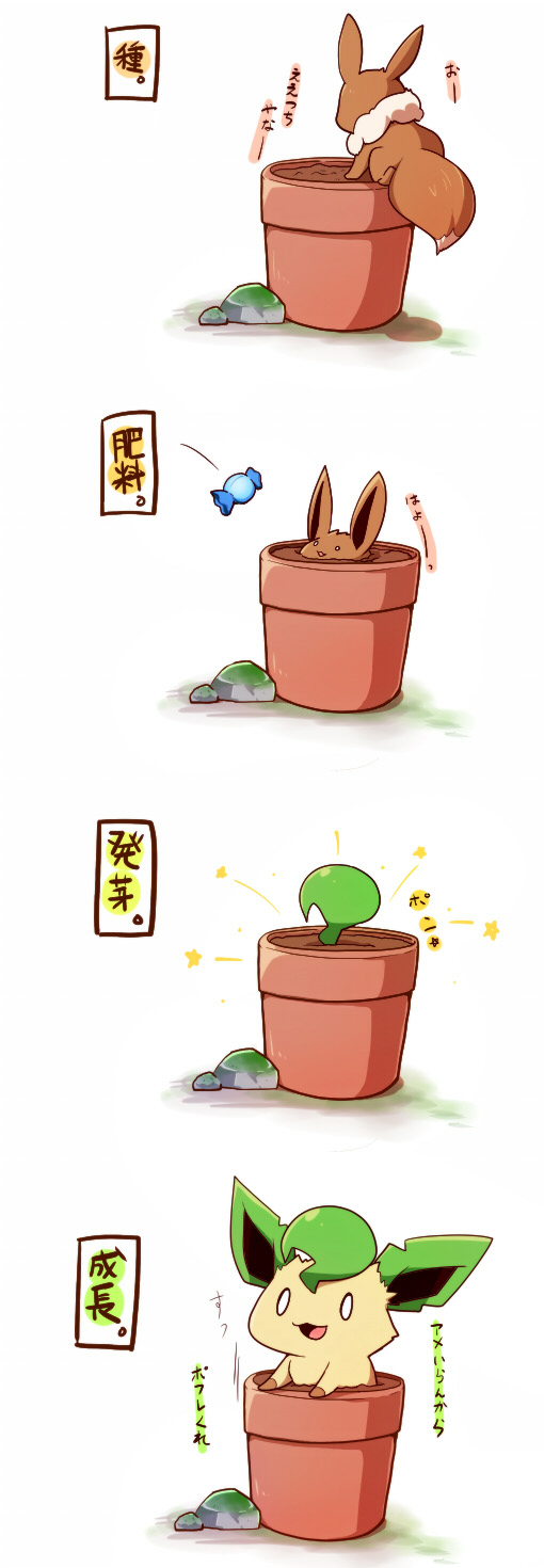 0_0, azuma_minatsu, commentary_request, eevee, evolution, flower_pot, gen_1_pokemon, gen_4_pokemon