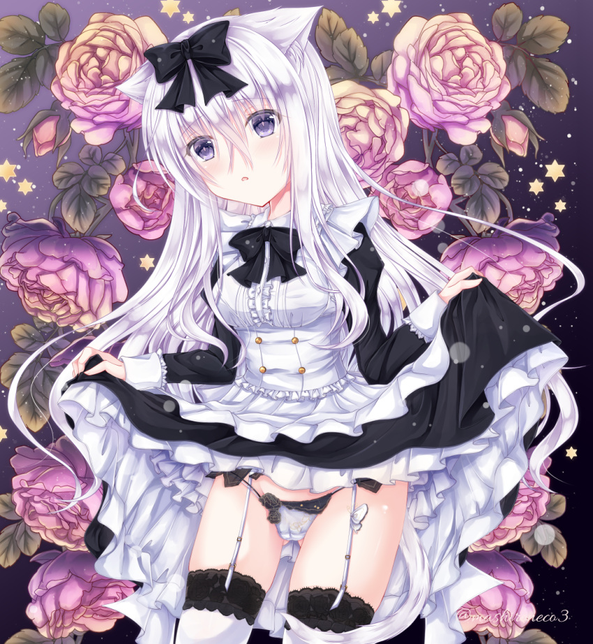 1girl, animal_ears, ass_visible_through_thighs, bangs, black_bow, bow, bowtie, cat_ears, cat_tail, eyebrows_visible_through_hair, flower, frilled_shirt_collar, frills, garter_straps, highres, lace-trimmed_legwear, lace_trim, lifted_by_self, long_hair, long_sleeves, maid_dress, original, panties, parted_lips, rose, sidelocks, sleeve_cuffs, solo, star_(symbol), string_panties, tail, thigh-highs, underwear, violet_eyes, white_hair, white_legwear, white_panties, yoizuki_mashiro
