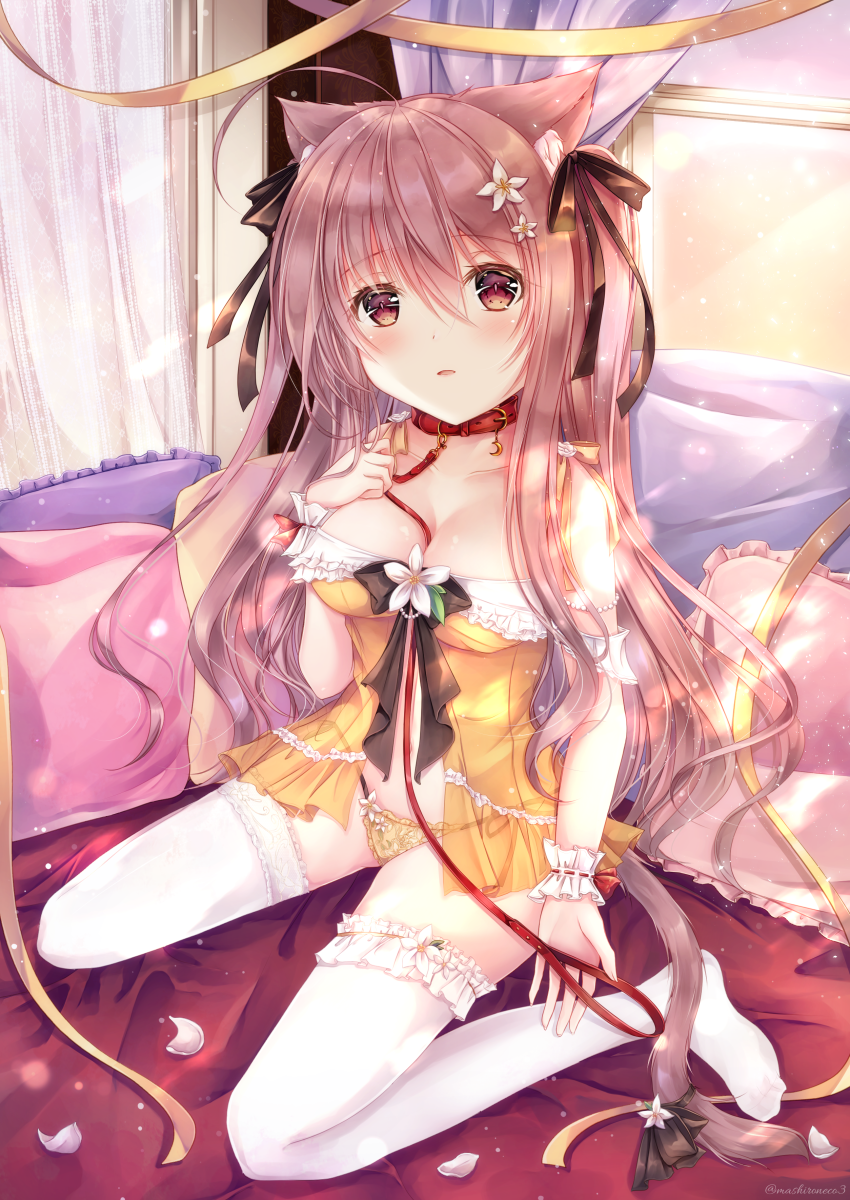 1girl, animal_ear_fluff, animal_ears, babydoll, bed, between_breasts, black_ribbon, breasts, brown_hair, cat_ears, cat_tail, collar, collarbone, curtains, flower, folded_leg, frilled_legwear, frilled_panties, frills, hair_flower, hair_ornament, hair_ribbon, highres, lace-trimmed_legwear, lace_trim, leash, long_hair, medium_breasts, navel, on_bed, original, panties, petals, pillow, ribbon, see-through, side-tie_panties, sidelocks, sitting, solo, string_panties, tail, tail_ribbon, thigh-highs, underwear, white_legwear, window, wrist_cuffs, yoizuki_mashiro