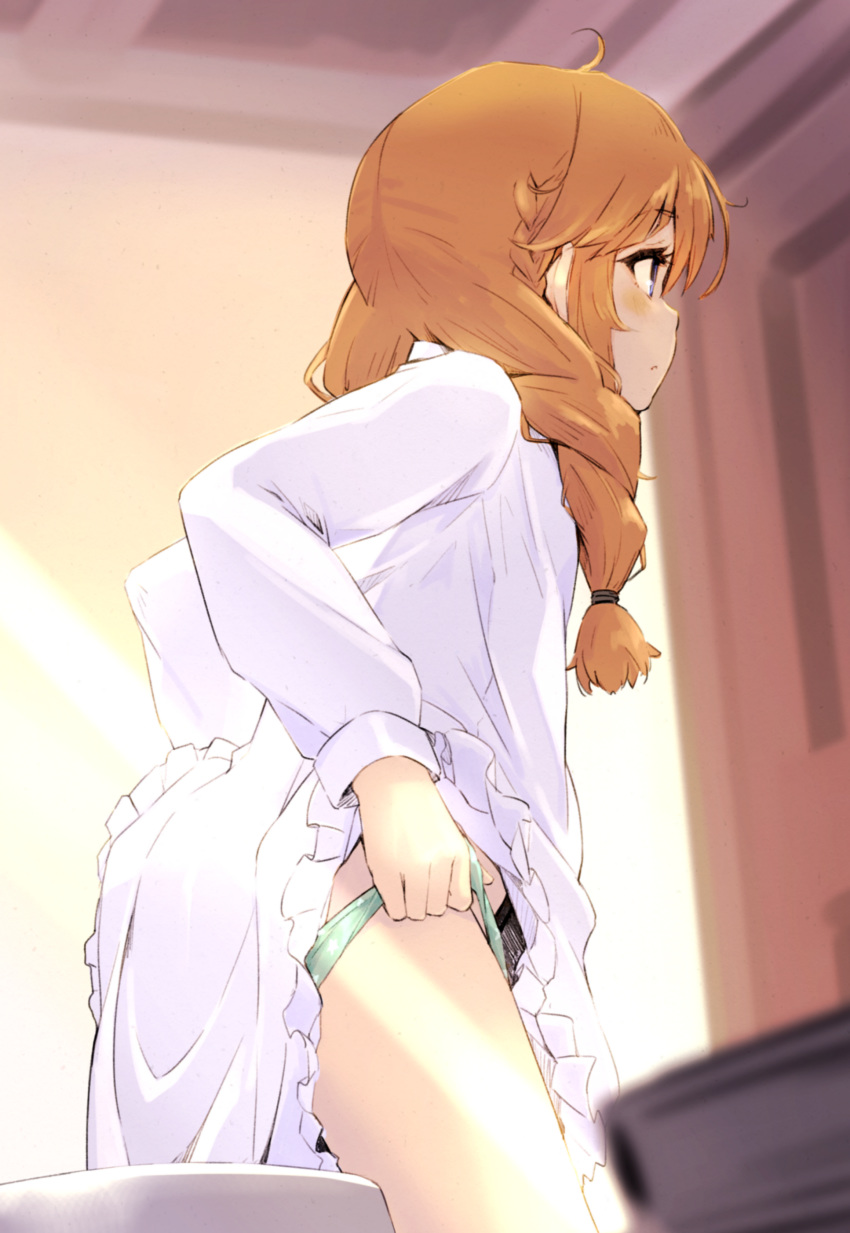 1girl, absurdres, bangs, blurry, blurry_background, blurry_foreground, blush, braid