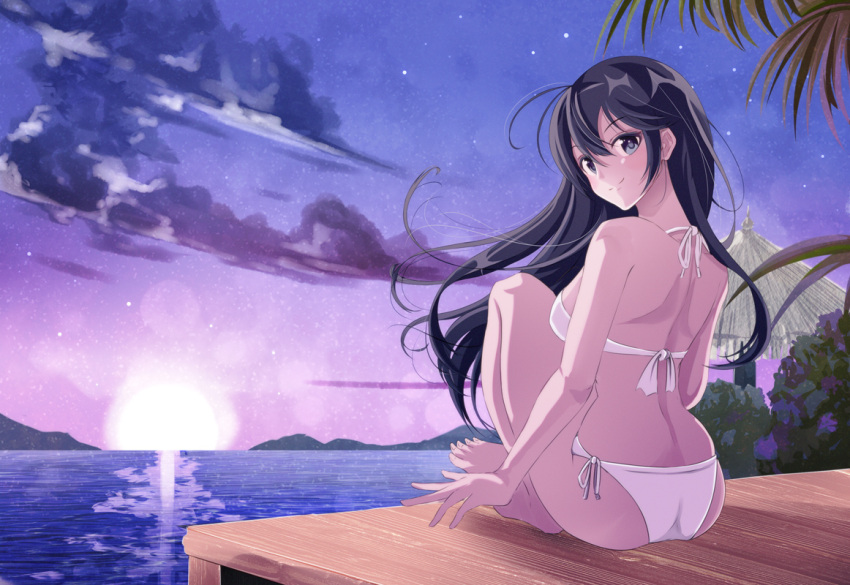 1girl, bikini, black_hair, breasts, evening, from_behind, grey_eyes, long_hair