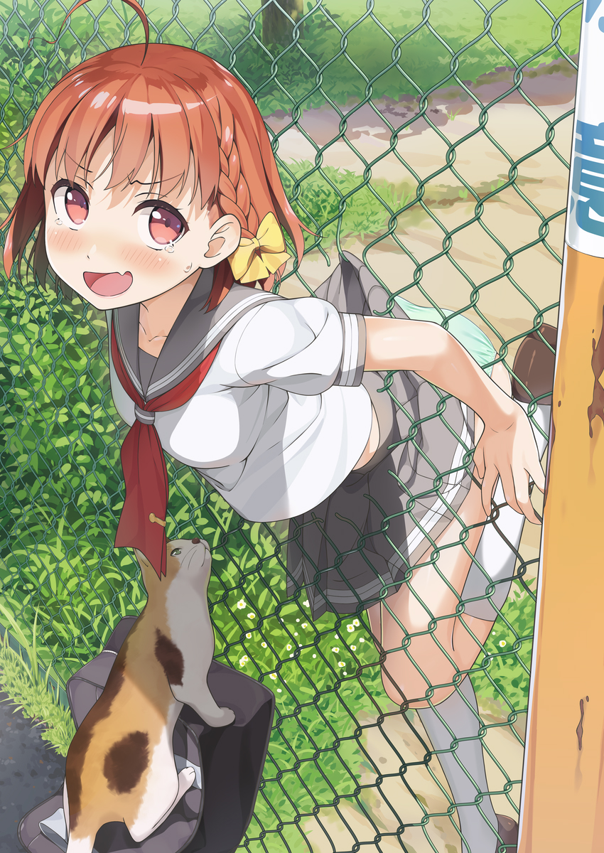 1girl, ahoge, bag, blush, braid, breasts, cat, embarrassed