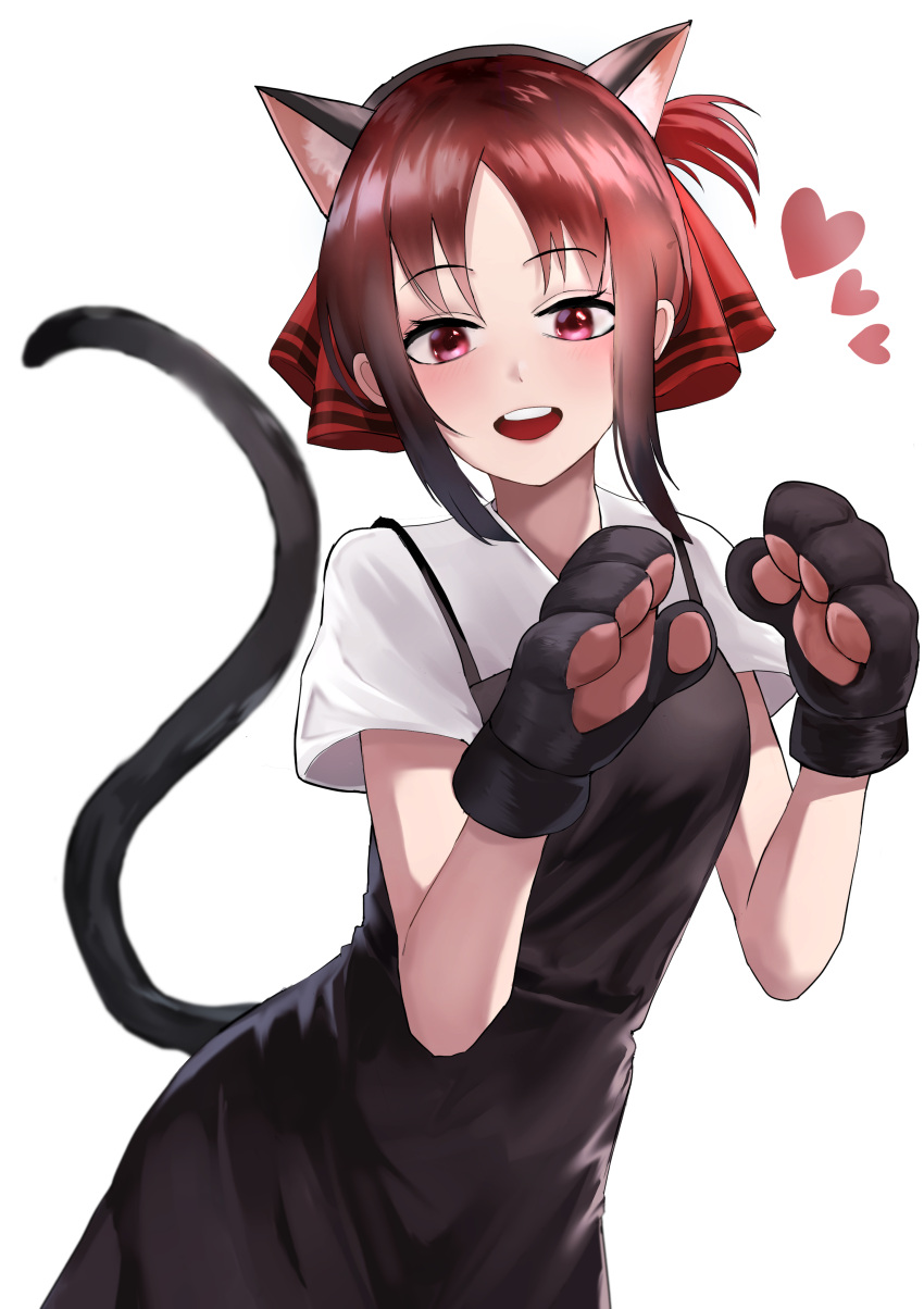 1girl, absurdres, alternate_hair_color, animal_ears, art_rat, bangs, black_dress, blush, brown_hair, cat_ears, cat_tail, commentary_request, cowboy_shot, dress, fake_animal_ears, fake_tail, folded_ponytail, gloves, hair_ribbon, heart, highres, kaguya-sama_wa_kokurasetai_~tensai-tachi_no_renai_zunousen~, looking_at_viewer, open_mouth, parted_bangs, paw_gloves, paws, red_eyes, red_ribbon, redhead, ribbon, school_uniform, shinomiya_kaguya, shirt, short_hair, short_sleeves, shuuchiin_academy_uniform, sidelocks, smile, solo, tail, upper_teeth, white_background, white_shirt