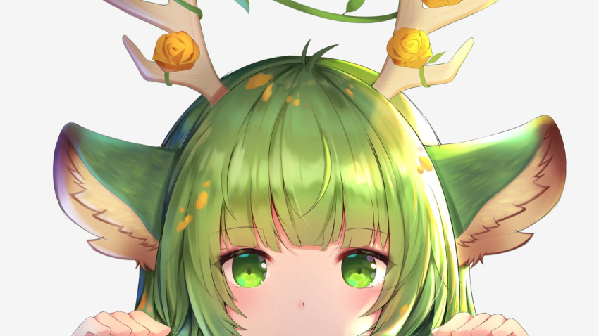 1girl, animal_ears, antlers, close-up, commission, english_commentary, flower, green_eyes