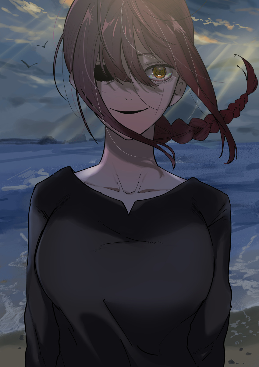 1girl, absurdres, animal, bangs, beach, bird, black_shirt, braid