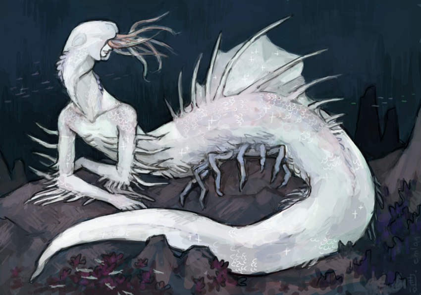bloodborne, closed_mouth, commentary, coral, dated, emlan, english_commentary, fins