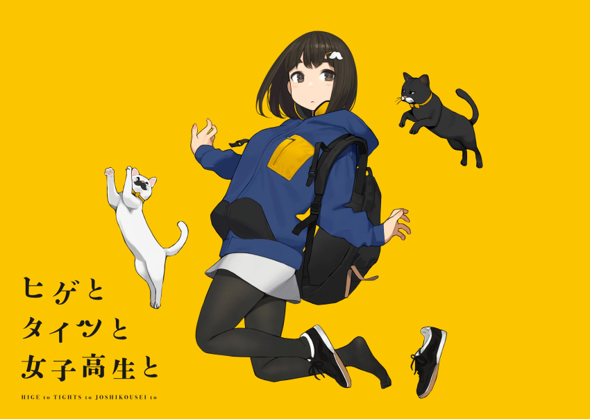 absurdres, animal, black_backpack, black_cat, blue_hoodie, bow, bowtie, cat