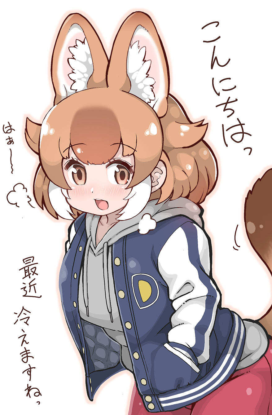 1girl, alternate_costume, animal_ears, blue_jacket, blush, breath, brown_eyes, casual