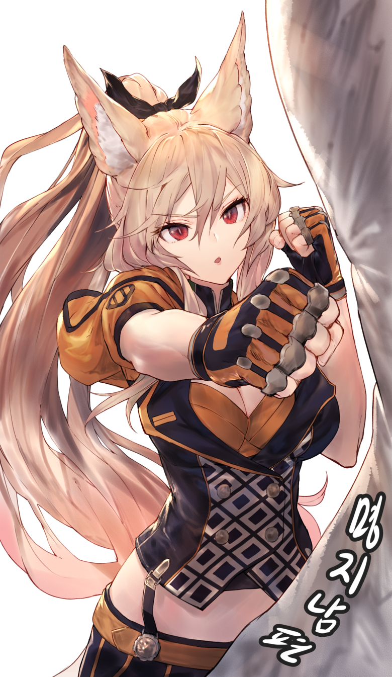 animal_ear_fluff, animal_ears, bangs, blush, breasts, dungeon_and_fighter, eyebrows_visible_through_hair, fighter_(dungeon_and_fighter)