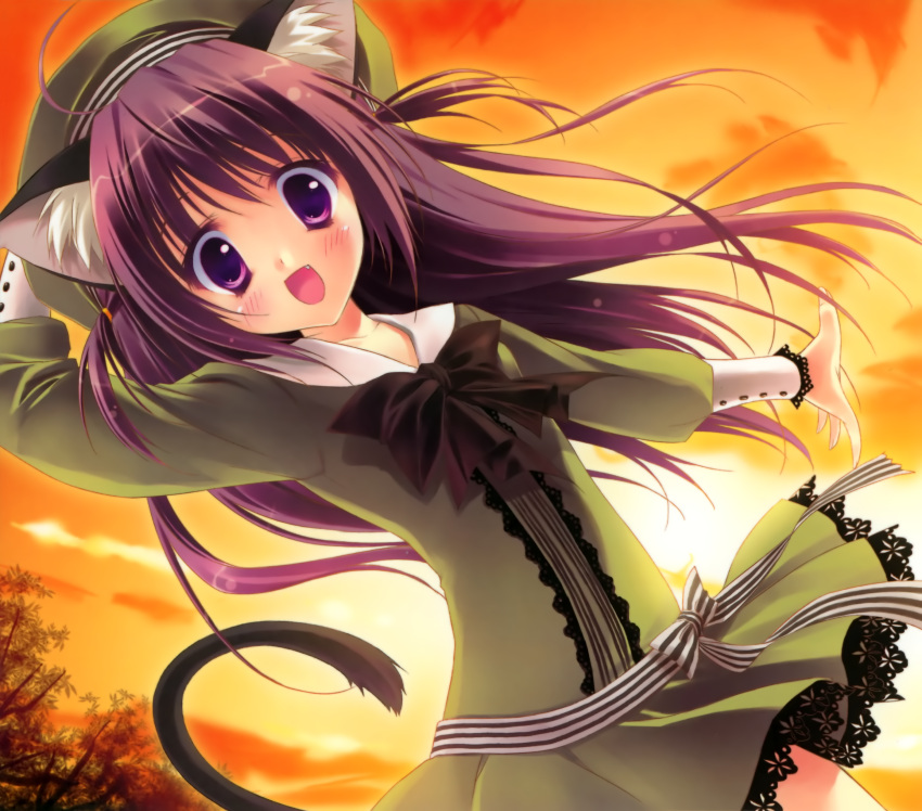 ahoge, animal_ears, blush, bow, cat_ears, cat_tail, catgirl, dusk