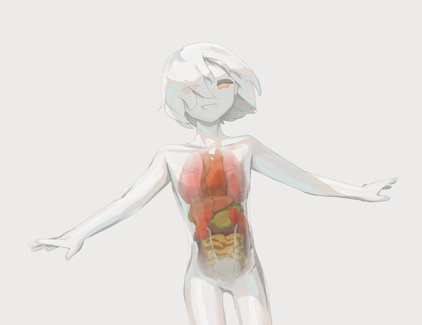 1boy, 1other, absurdres, avogado6, cowboy_shot, eyes_visible_through_hair, floating_hair, heart_(organ), highres, intestines, kidney, looking_at_viewer, lungs, nude, orange_eyes, original, outstretched_arms, pancreas, short_hair, simple_background, smile, solo, spread_arms, stomach_(organ), transparent_skin, white_background, white_hair, white_skin