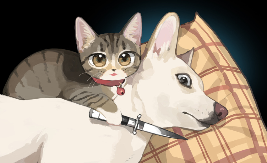 :3, animal, animal_ear_fluff, animal_ears, animal_focus, bell, bell_collar, black_eyes, brown_eyes, cat_ears, collar, commentary, derivative_work, dog, dog_ears, english_commentary, face, gentlecat, holding, jingle_bell, knife, knife_to_throat, looking_at_viewer, no_humans, open_mouth, photo-referenced, plaid, real_life, simple_background, standing, weapon, whiskers