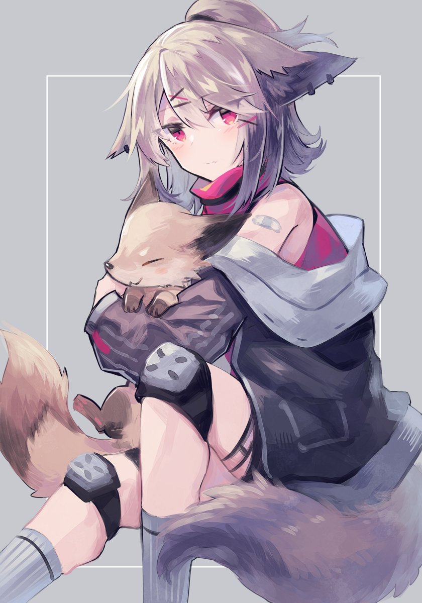 1girl, animal, animal_ears, arknights, bandaid, bandaid_on_shoulder, bangs, black_jacket