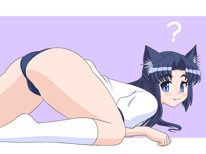 asakura_ryouko, cat_ears, eyebrows, gym_uniform, mem, suzumiya_haruhi_no_yuuutsu