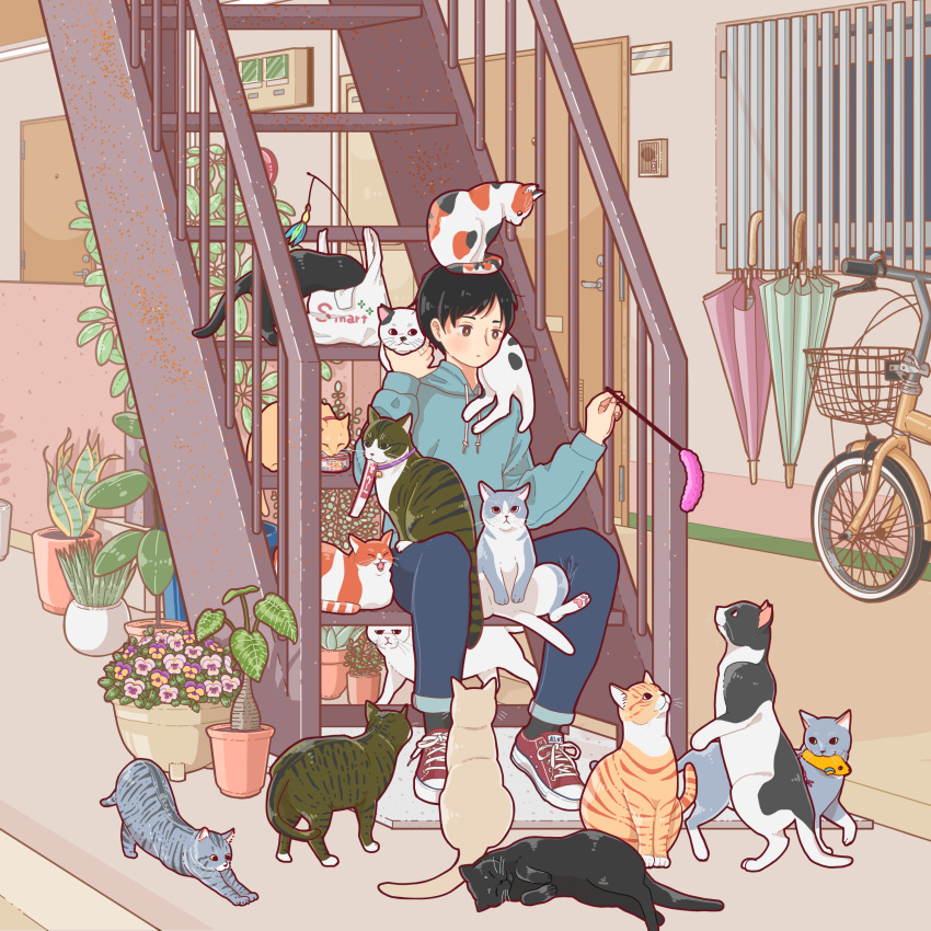 1boy, absurdres, aqua_umbrella, bicycle, black_cat, black_hair, blue_pants, cat