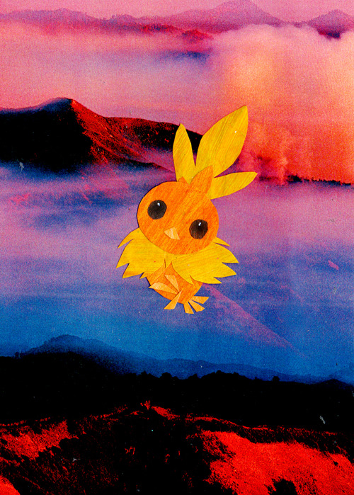 bird, botjira, collage, commentary, english_commentary, gen_3_pokemon, pokemon, torchic