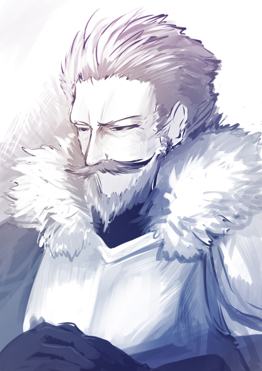 1boy, aiden_the_holy_sword, armor, beard, black_gloves, brown_hair, facial_hair, fur_trim