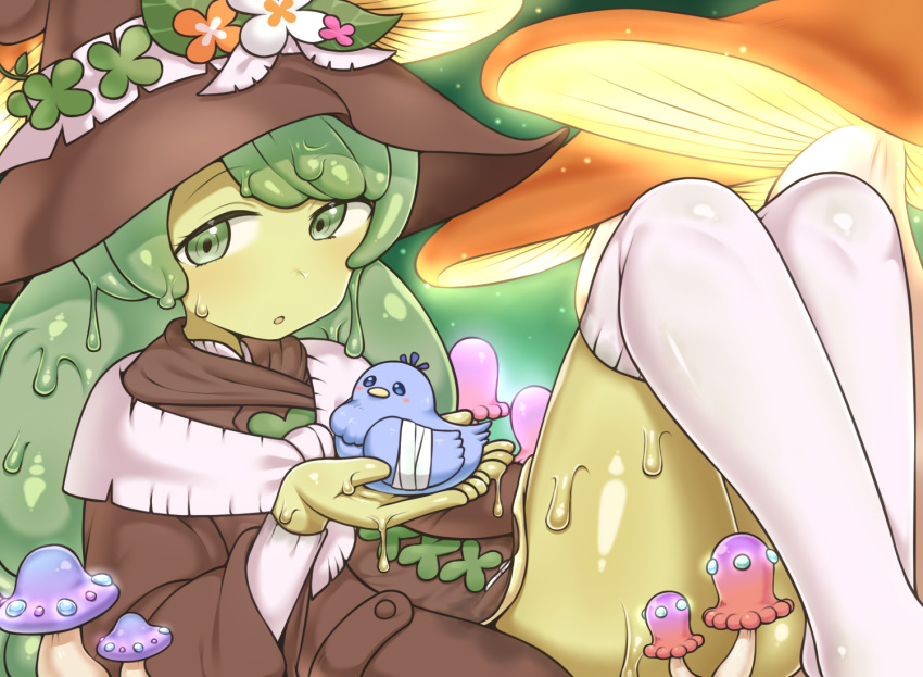 1girl, animal, bandaged_wings, bird, blush, borrowed_character, brown_coat, brown_headwear